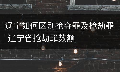 辽宁如何区别抢夺罪及抢劫罪 辽宁省抢劫罪数额