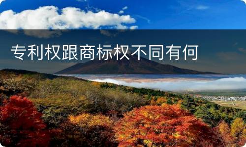 专利权跟商标权不同有何