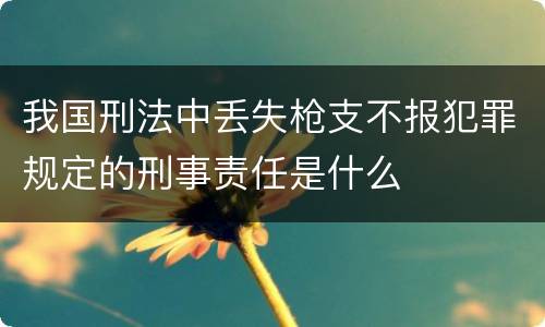 我国刑法中丢失枪支不报犯罪规定的刑事责任是什么