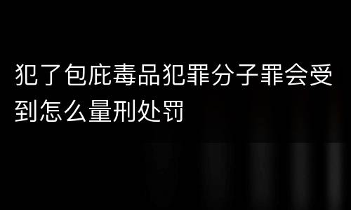 犯了包庇毒品犯罪分子罪会受到怎么量刑处罚