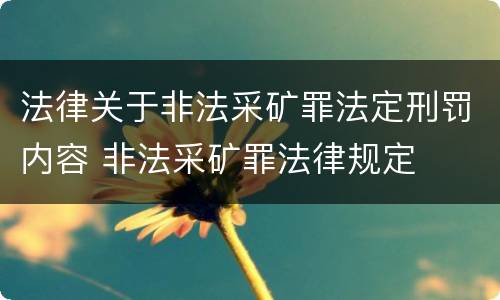 法律关于非法采矿罪法定刑罚内容 非法采矿罪法律规定
