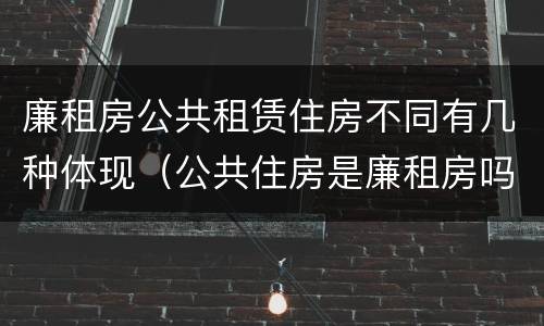 廉租房公共租赁住房不同有几种体现（公共住房是廉租房吗）