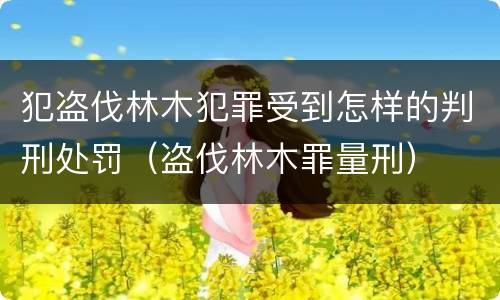犯盗伐林木犯罪受到怎样的判刑处罚（盗伐林木罪量刑）