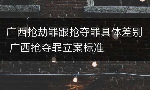 广西抢劫罪跟抢夺罪具体差别 广西抢夺罪立案标准