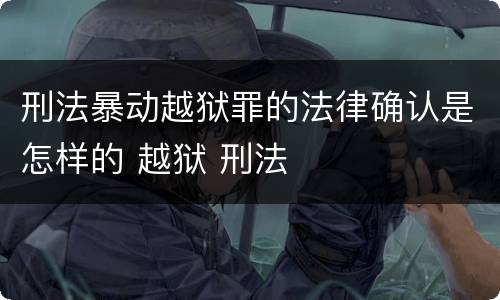 刑法暴动越狱罪的法律确认是怎样的 越狱 刑法