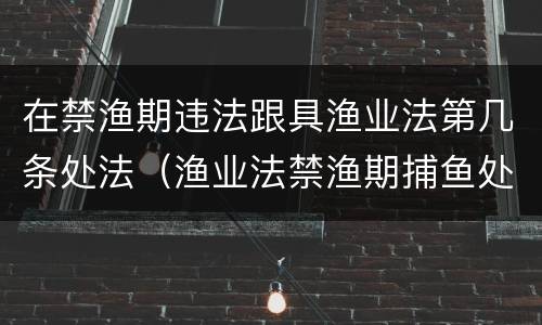 在禁渔期违法跟具渔业法第几条处法（渔业法禁渔期捕鱼处罚规定）
