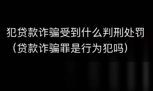 犯贷款诈骗受到什么判刑处罚（贷款诈骗罪是行为犯吗）