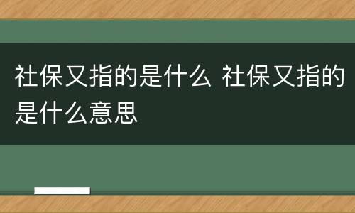 社保又指的是什么 社保又指的是什么意思
