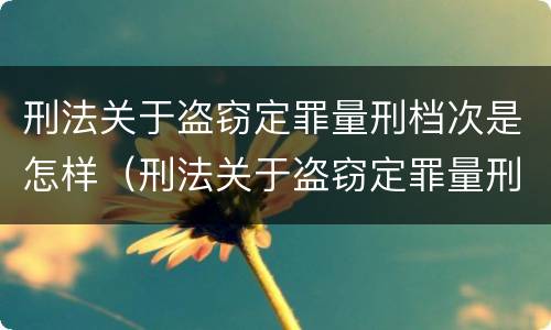 刑法关于盗窃定罪量刑档次是怎样（刑法关于盗窃定罪量刑档次是怎样定的）