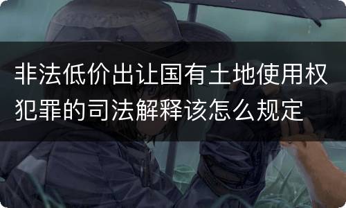 非法低价出让国有土地使用权犯罪的司法解释该怎么规定