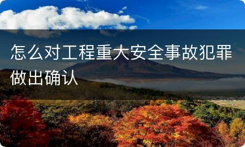 怎么对工程重大安全事故犯罪做出确认
