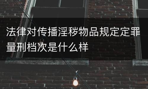 法律对传播淫秽物品规定定罪量刑档次是什么样