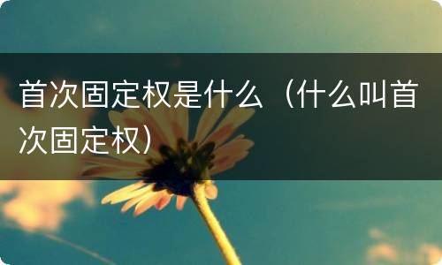首次固定权是什么（什么叫首次固定权）