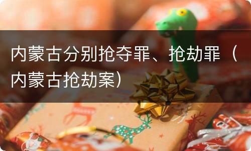 内蒙古分别抢夺罪、抢劫罪（内蒙古抢劫案）