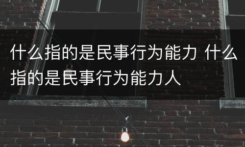 什么指的是民事行为能力 什么指的是民事行为能力人