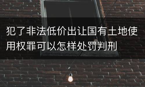 犯了非法低价出让国有土地使用权罪可以怎样处罚判刑