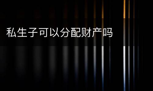 私生子可以分配财产吗