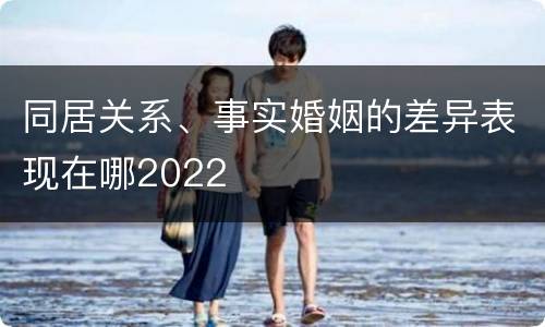 同居关系、事实婚姻的差异表现在哪2022