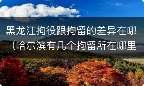 黑龙江拘役跟拘留的差异在哪(哈尔滨有几个拘留所在哪里)