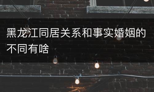 黑龙江同居关系和事实婚姻的不同有啥