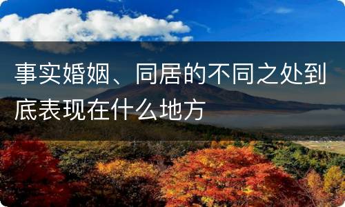 事实婚姻、同居的不同之处到底表现在什么地方