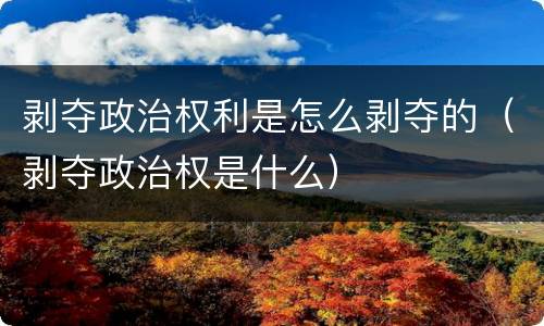剥夺政治权利是怎么剥夺的（剥夺政治权是什么）
