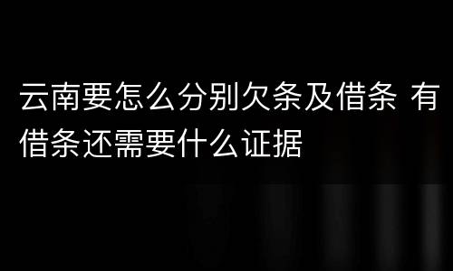 云南要怎么分别欠条及借条 有借条还需要什么证据