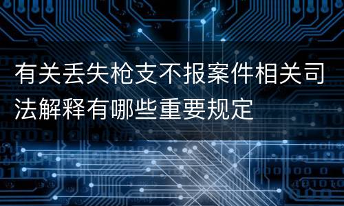 有关丢失枪支不报案件相关司法解释有哪些重要规定