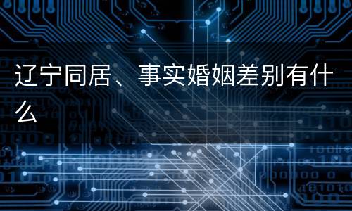 辽宁同居、事实婚姻差别有什么