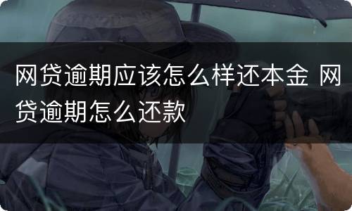 网贷逾期应该怎么样还本金 网贷逾期怎么还款