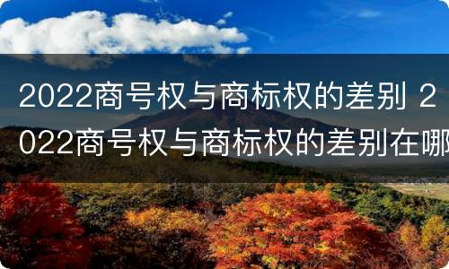 2022商号权与商标权的差别 2022商号权与商标权的差别在哪