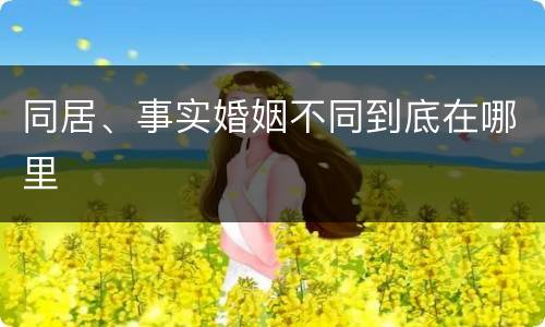 同居、事实婚姻不同到底在哪里