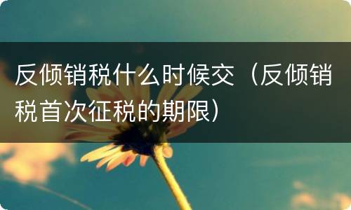 反倾销税什么时候交（反倾销税首次征税的期限）