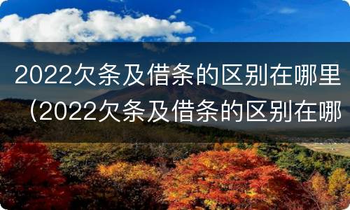 2022欠条及借条的区别在哪里（2022欠条及借条的区别在哪里可以查到）