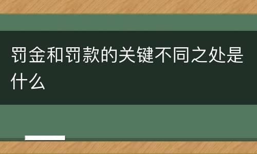 罚金和罚款的关键不同之处是什么