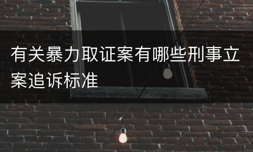 有关暴力取证案有哪些刑事立案追诉标准