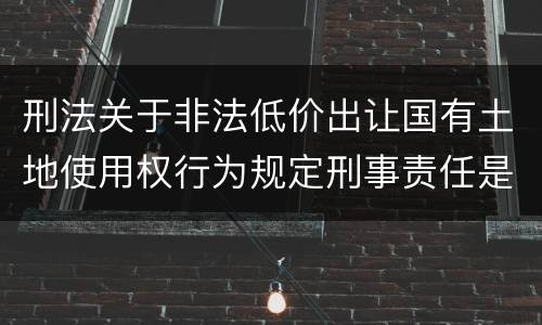 刑法关于非法低价出让国有土地使用权行为规定刑事责任是怎样