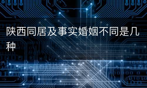 陕西同居及事实婚姻不同是几种