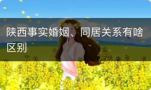 陕西事实婚姻、同居关系有啥区别
