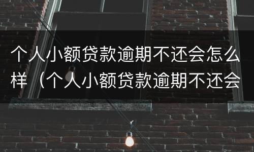 个人小额贷款逾期不还会怎么样（个人小额贷款逾期不还会怎么样吗）