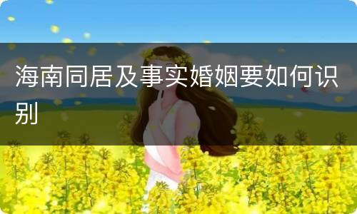 海南同居及事实婚姻要如何识别