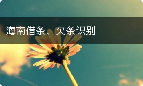海南借条、欠条识别