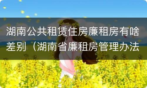 湖南公共租赁住房廉租房有啥差别（湖南省廉租房管理办法）