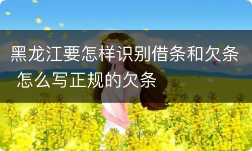 黑龙江要怎样识别借条和欠条 怎么写正规的欠条