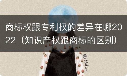 商标权跟专利权的差异在哪2022（知识产权跟商标的区别）