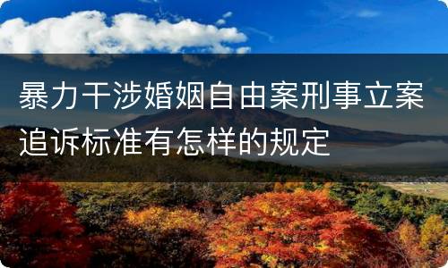 暴力干涉婚姻自由案刑事立案追诉标准有怎样的规定