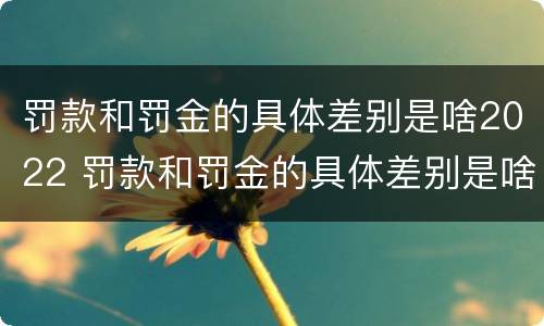 罚款和罚金的具体差别是啥2022 罚款和罚金的具体差别是啥2022年