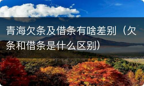 青海欠条及借条有啥差别（欠条和借条是什么区别）