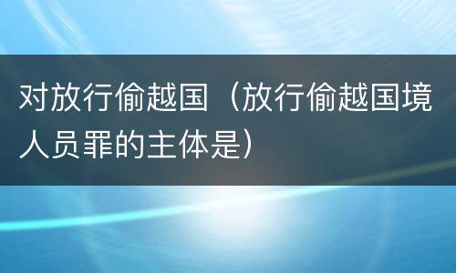 对放行偷越国（放行偷越国境人员罪的主体是）