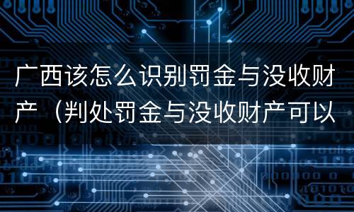 广西该怎么识别罚金与没收财产（判处罚金与没收财产可以并罚吗）